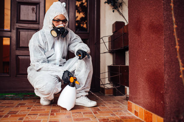 Reliable Ant Control contractor in East Cleveland, OH by Show Me Pest Control