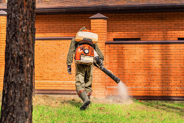Top rated local Ant Control specialists in East Cleveland, OH